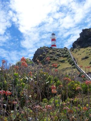 lighthouse